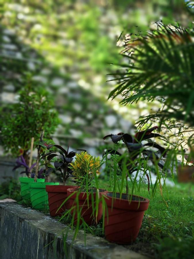 Nature Villa Rishīkesh Dış mekan fotoğraf