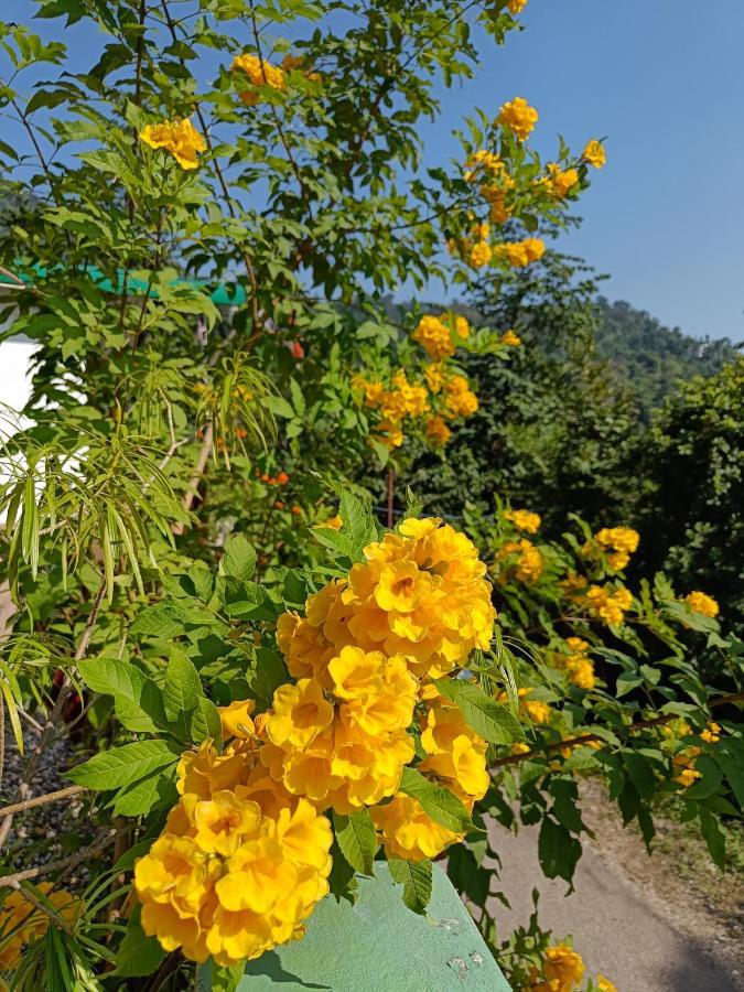 Nature Villa Rishīkesh Dış mekan fotoğraf