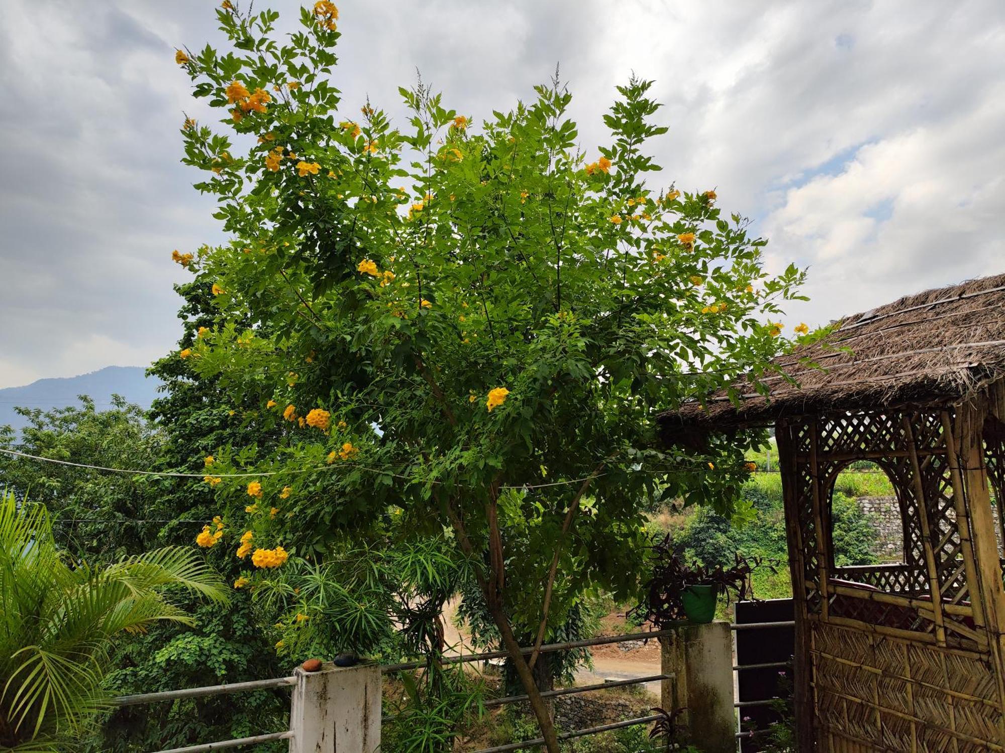Nature Villa Rishīkesh Dış mekan fotoğraf